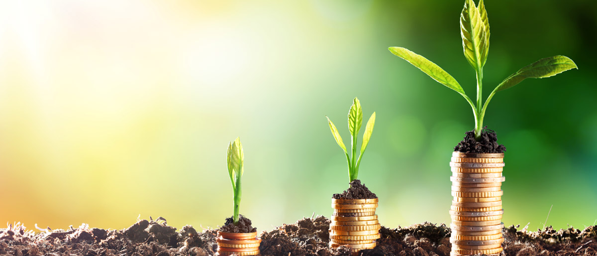 高天原ヒーリングの開運