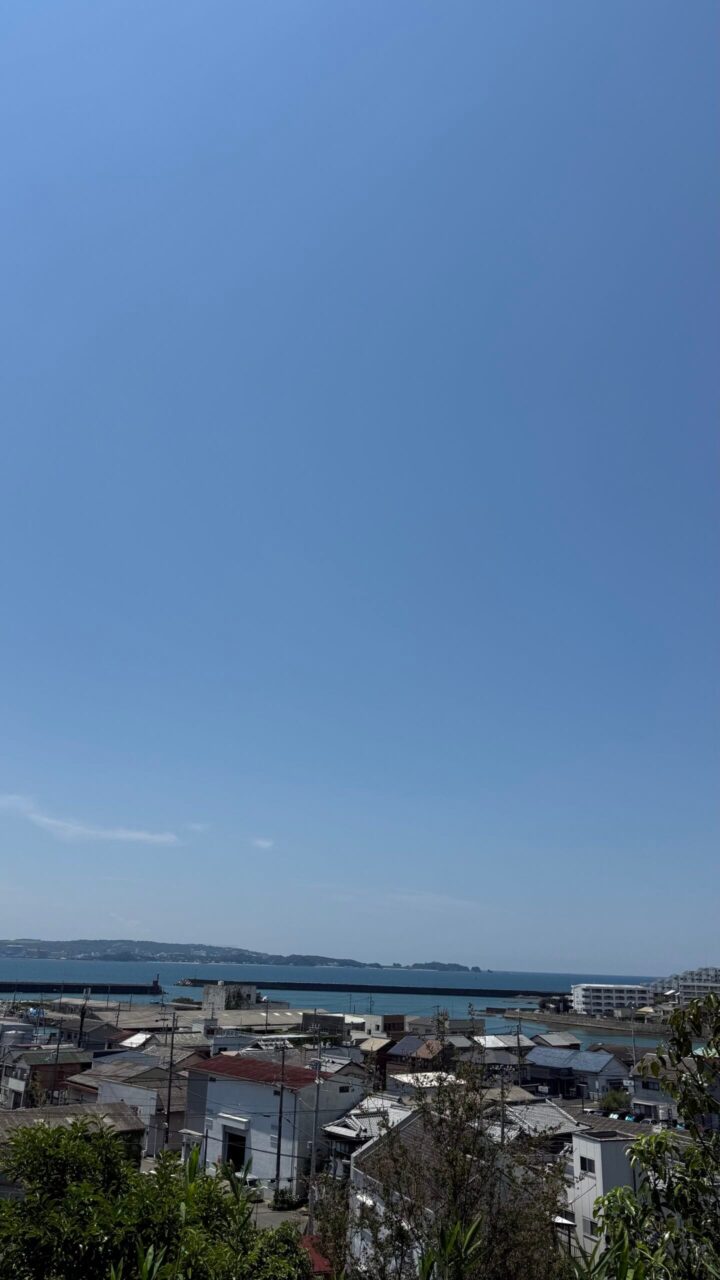 和歌浦・エンペラーウェザー