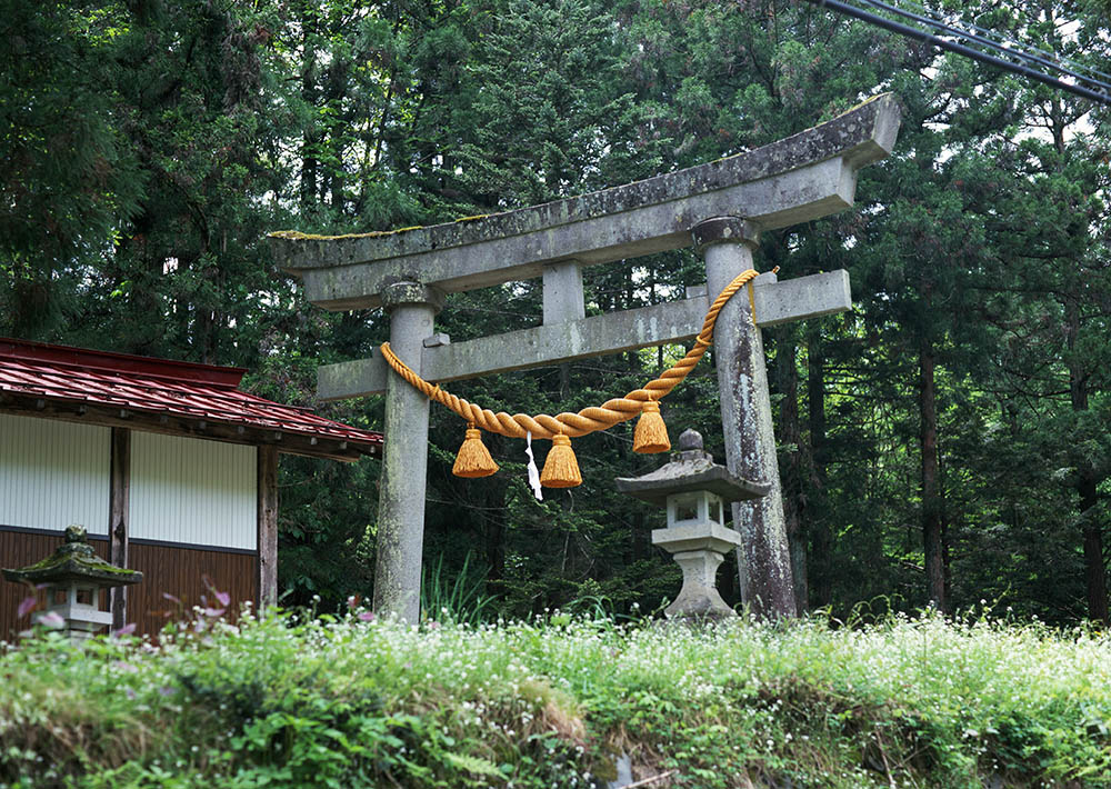 和歌の発祥はワカ姫