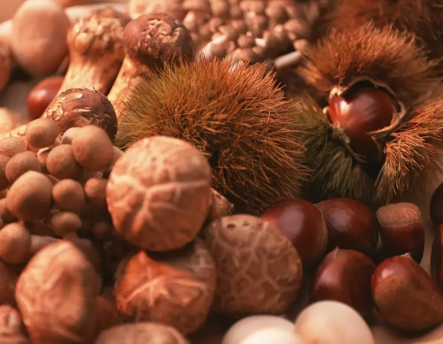 しいたけ達とスピリチュアル